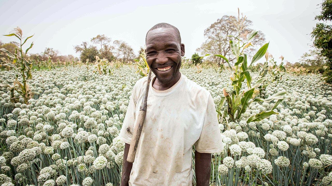 Nigerian farmer on an onion farm in Kaduna